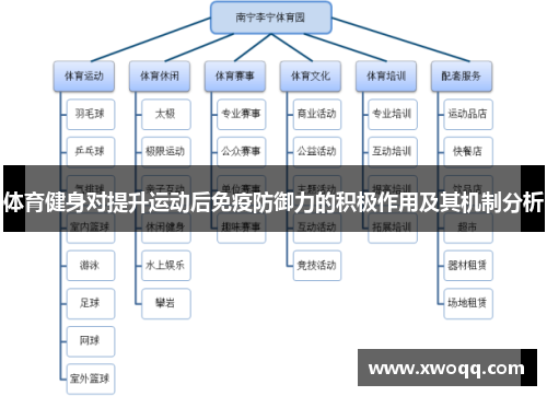 体育健身对提升运动后免疫防御力的积极作用及其机制分析