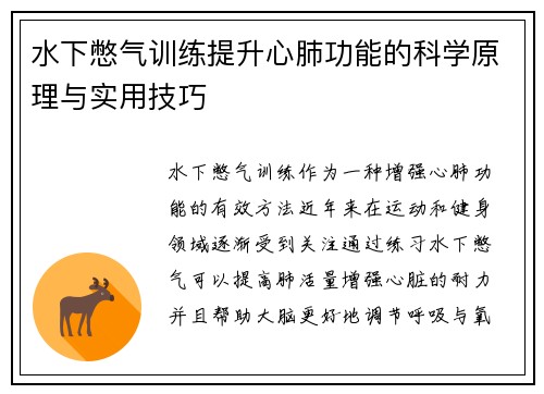 水下憋气训练提升心肺功能的科学原理与实用技巧