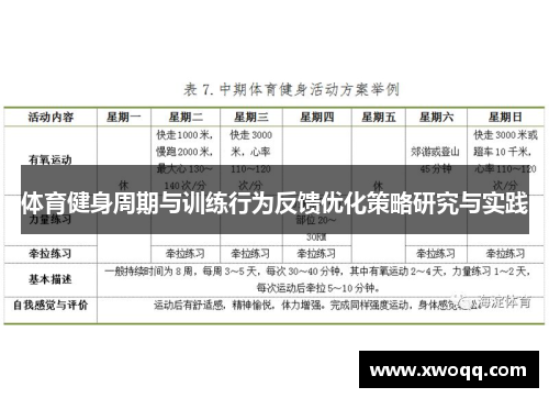 体育健身周期与训练行为反馈优化策略研究与实践