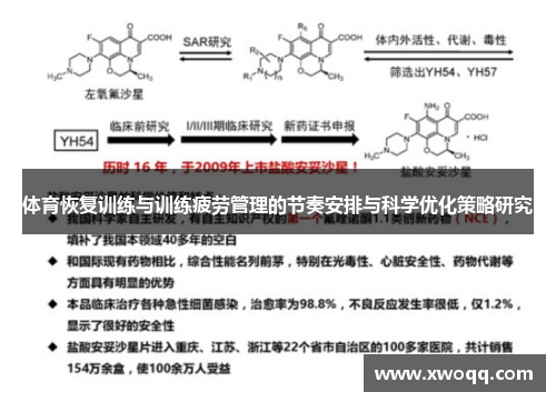 体育恢复训练与训练疲劳管理的节奏安排与科学优化策略研究