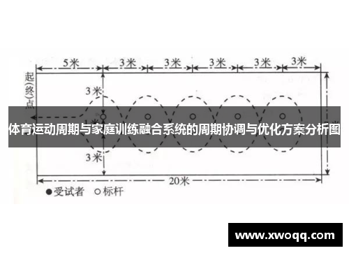 体育运动周期与家庭训练融合系统的周期协调与优化方案分析图