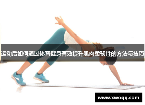 运动后如何通过体育健身有效提升肌肉柔韧性的方法与技巧